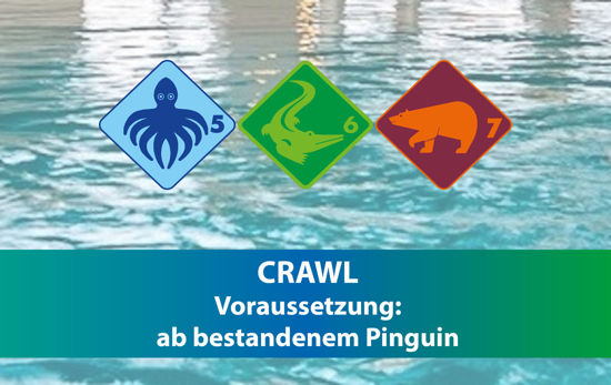 Bild von Ferien-Schwimmkurs Crawl