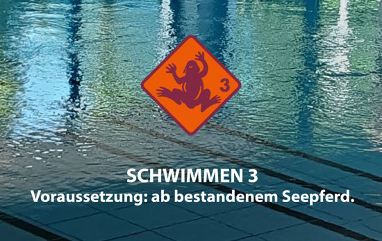 Bild von Ferien-Schwimmkurs Schwimmen 3