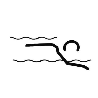 Bild von Kurse Erwachsene Schwimmtraining